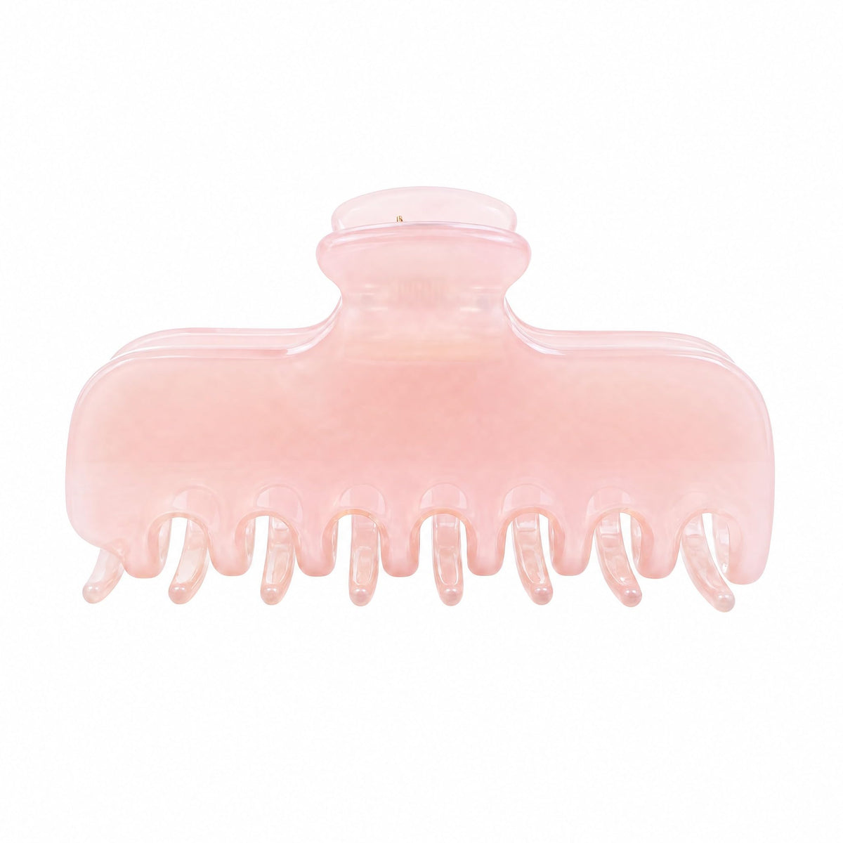 Tortoise Shell Claw Clip,4 Inch Large Acetate Hair Clip for Women